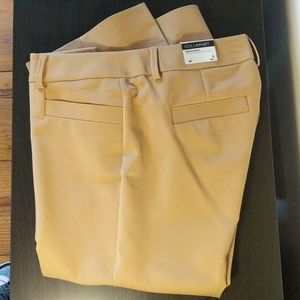 Express Columnist dress pants